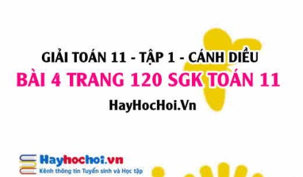 Giải bài 4 trang 120 Toán 11 tập 1 SGK Cánh Diều